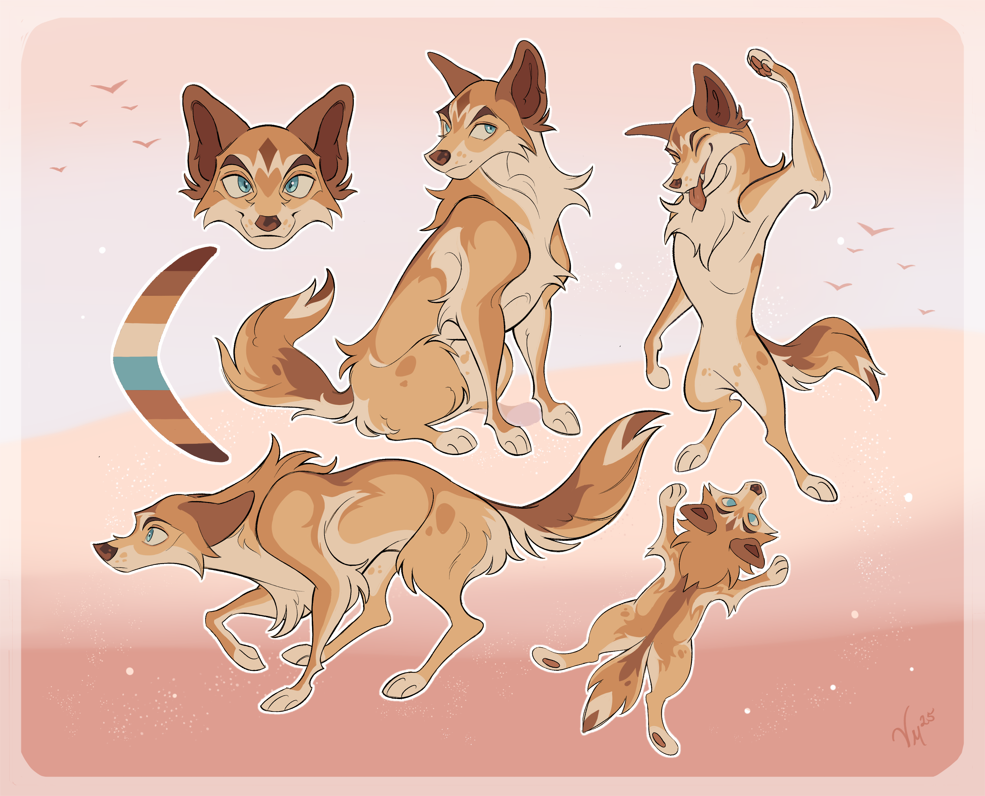 Dingo Ref Sheet_1855